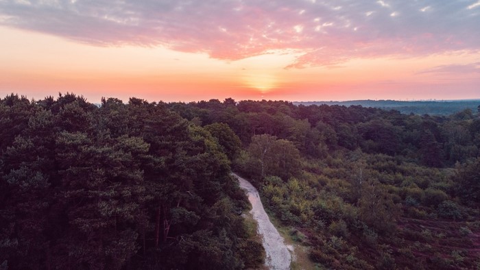 Sunset over a forest with a path