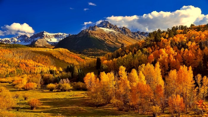 Autumn Mountain Landscape with Golden Aspen Trees