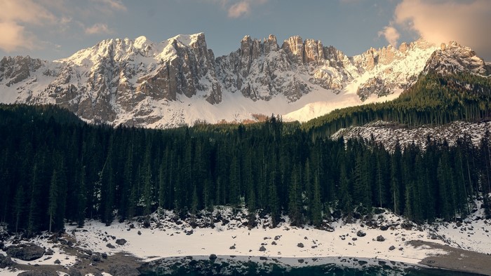 Snow-capped mountains above a pine forest and lake