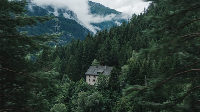 House in a dense forest with mountains