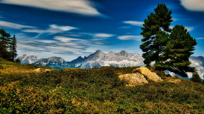 Mountain range with pine trees and rocky foreground
