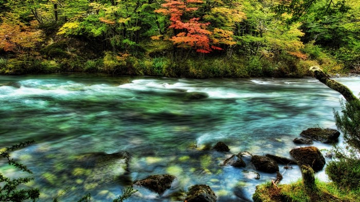 Fast river flowing through autumn forest