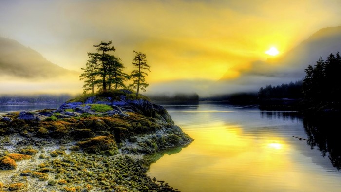 Misty morning landscape with sunlit water and trees