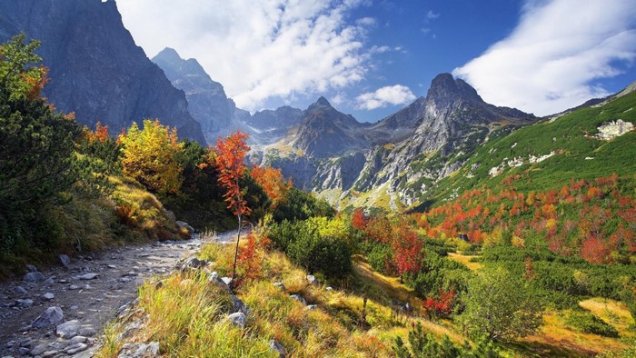 Mountain path with autumn trees and rocky peaks