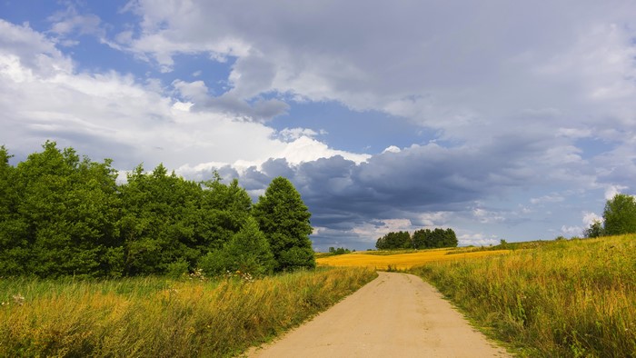 4K Country road with trees and fields