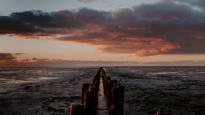 Wooden pier on a muddy shore at sunset