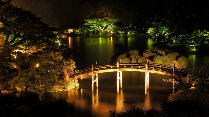 Illuminated Japanese garden with arched bridge at night