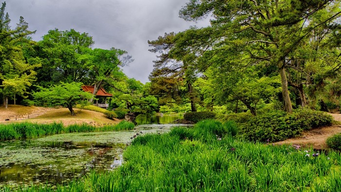 Japanese landscape with a pond and a gazebo