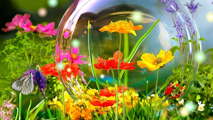 Flowers inside a bubble with a butterfly
