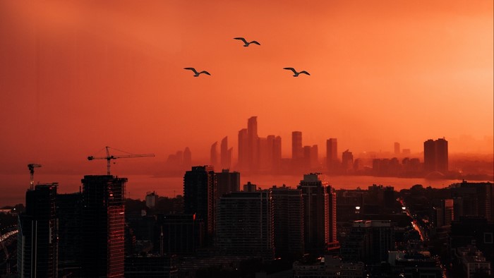 Cityscape with birds at sunset