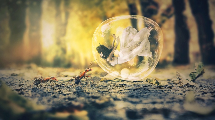 Girl in Bubble with Ants in Autumn Forest 4K