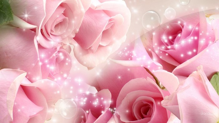 Sparkling pink roses with light effects