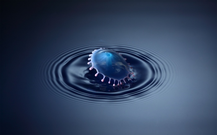 Water splash with ripples