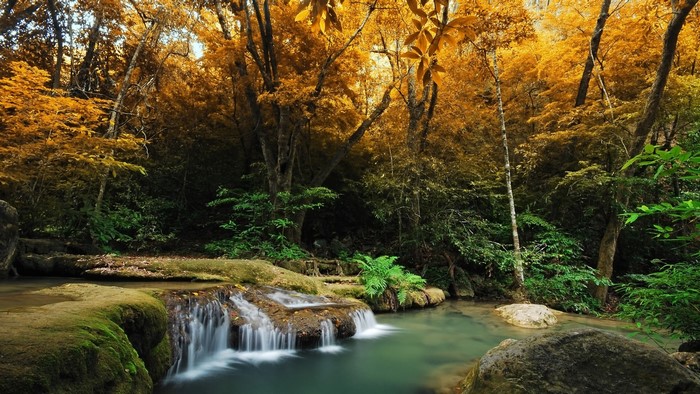 Waterfall in a vibrant forest with autumn foliage