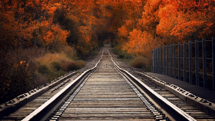Railroad tracks in autumn forest