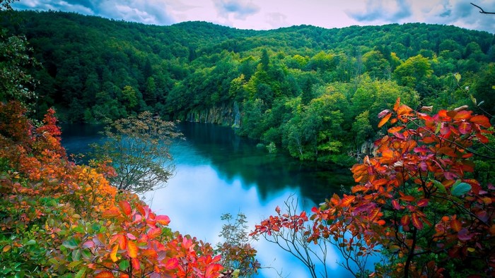 Autumn foliage surrounds a tranquil lake in a forest