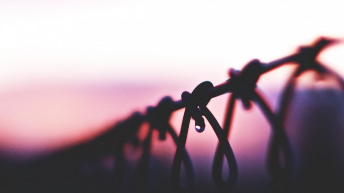 Macro photography of barbed wire with water droplet