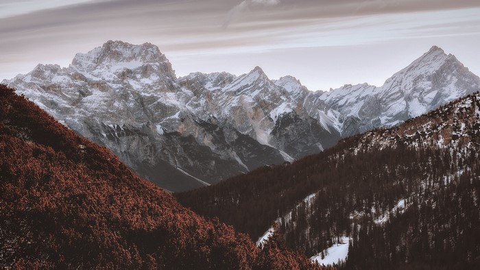 Snowy mountain range with red foliage in foreground