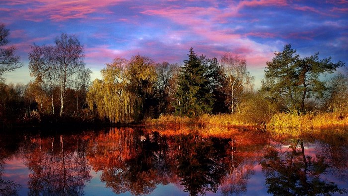 Autumn trees reflected in a lake at sunset
