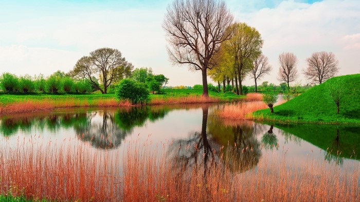 Spring landscape with river and trees