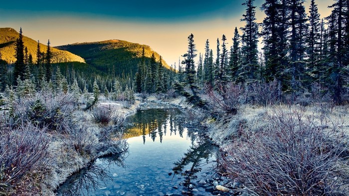 Winter river flowing through a frosted forest at sunrise