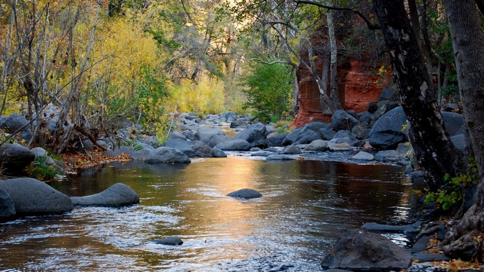 4K Stones in a River During Autumn
