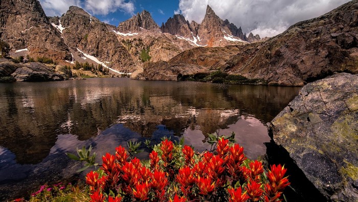 Red wildflowers by a mountain lake