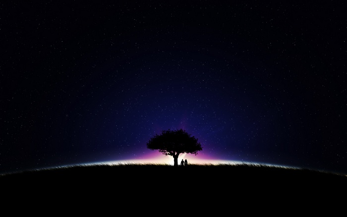 Couple under a tree at night with stars