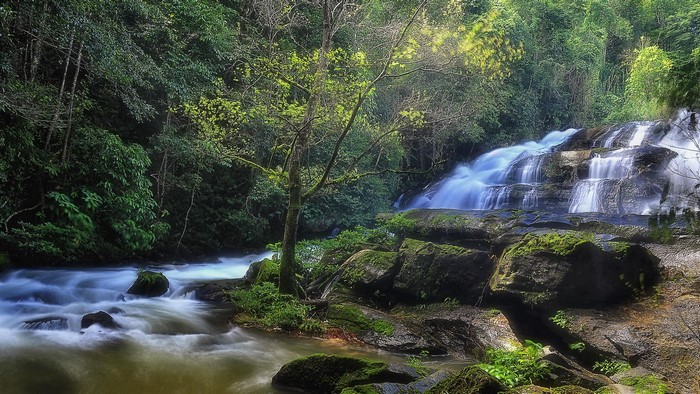 Cascading waterfall in a lush forest