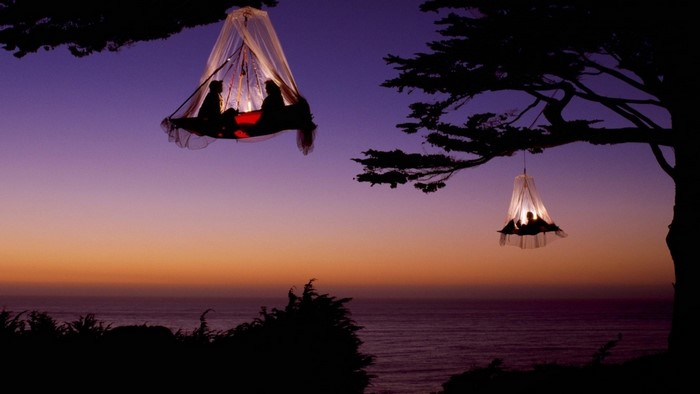 People camping in tree pods at sunset over the ocean