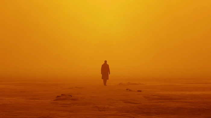 Officer K from Blade Runner 2049