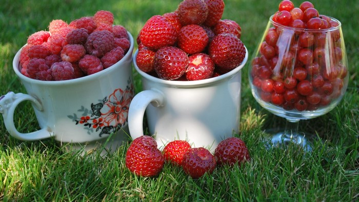 Berries in cups and glass on grass