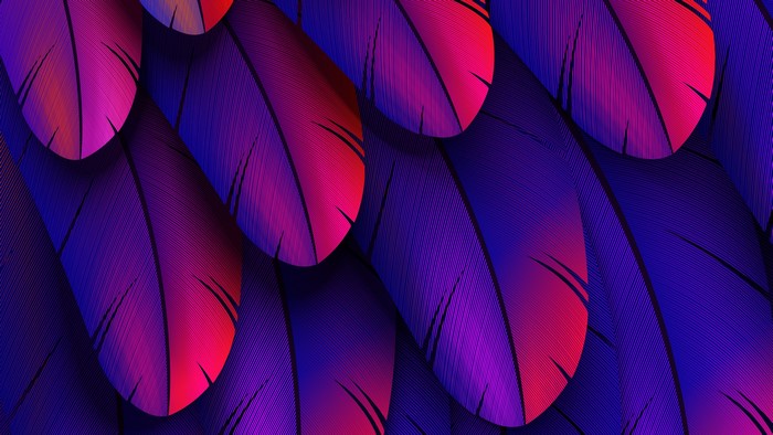 Colorful Feathers