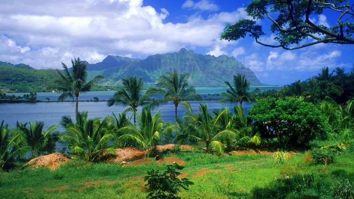 Tropical paradise with mountains and palm trees