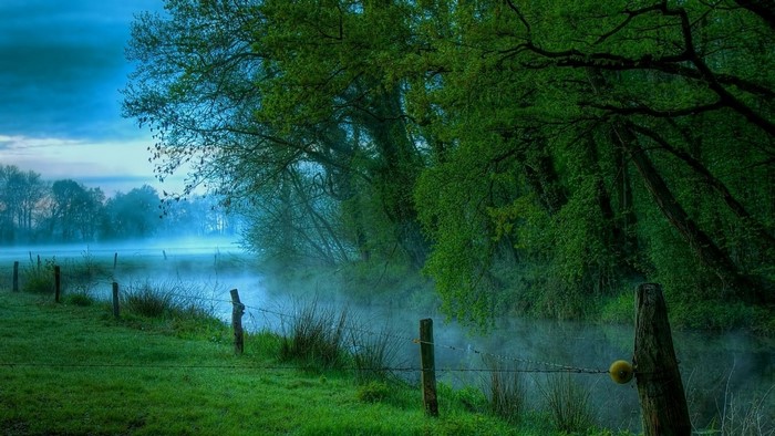 Misty riverbank with trees and fence