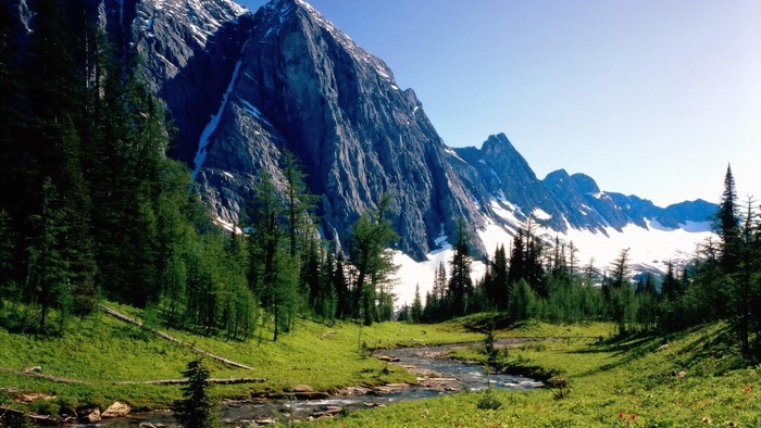 Mountain landscape with stream and trees in Banff, Canada