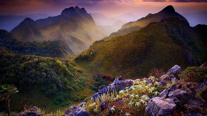 Mountains at sunset with forest and rocks
