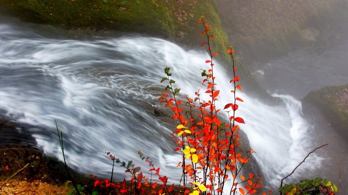 Autumn leaves by a flowing waterfall
