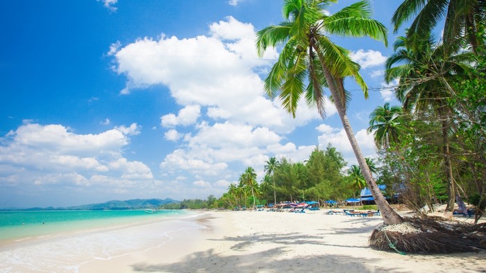 Tropical beach with palm trees and blue sky