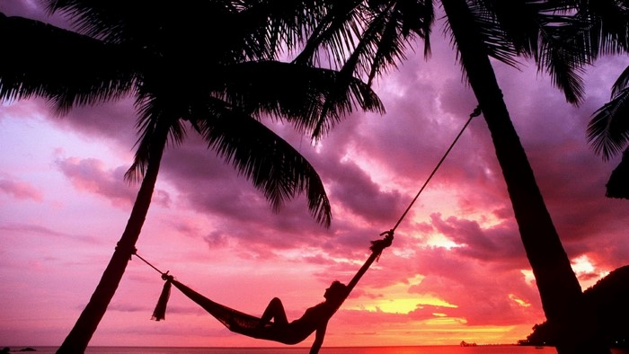 Silhouette of a person in a hammock at sunset