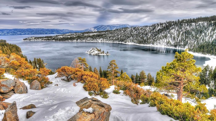 Lake Tahoe in Winter with Snow and Trees