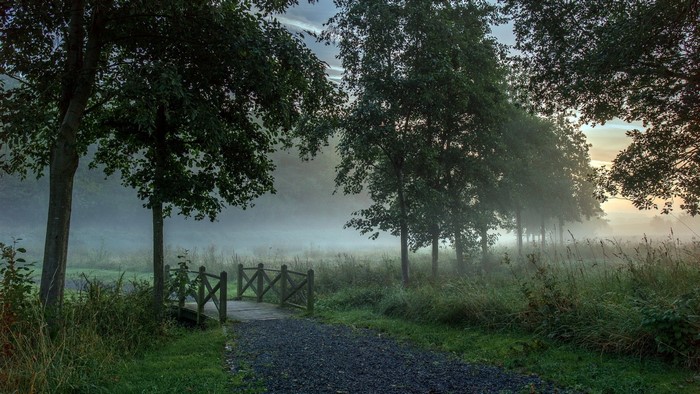 Misty morning path with wooden bridge and trees