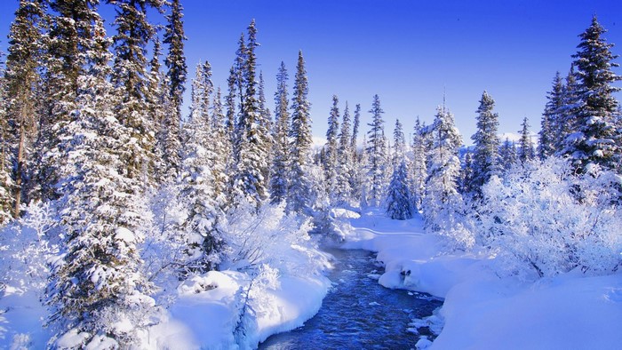 Winter river flowing through a snow-covered forest