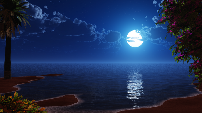 4K, Full moon, Scenery, Tropical, Beach