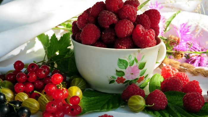 Cup of raspberries with currants and gooseberries