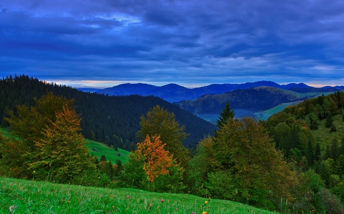 Mountain landscape with trees and clouds