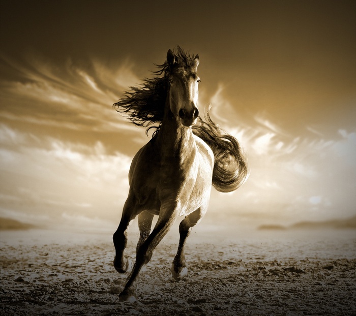 A horse running in a sepia-toned landscape