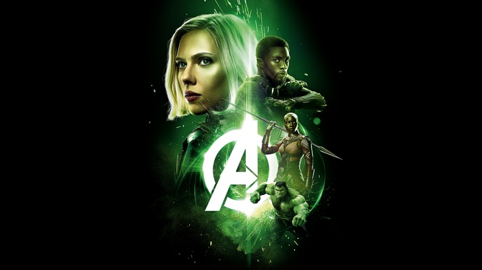 Avengers: Infinity War Black Widow, Black Panther, Okoye, Hulk