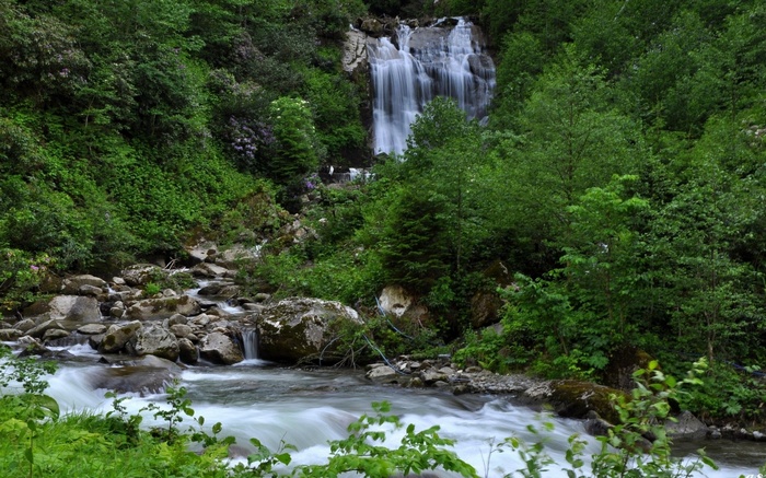 Waterfall flowing through a lush green forest
