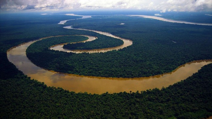 Aerial view of a winding river through a dense rainforest